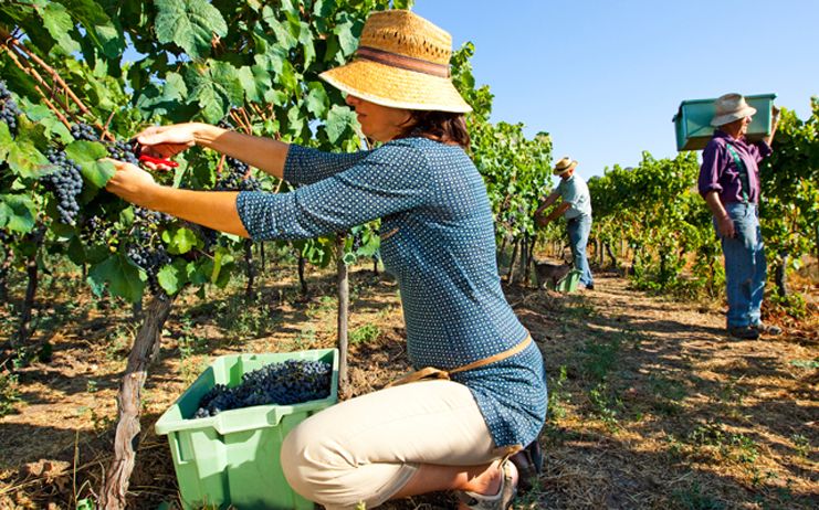 El Gobierno regional trabaja en la mejora de la empleabilidad de las mujeres en el ámbito rural a través del Programa DANA