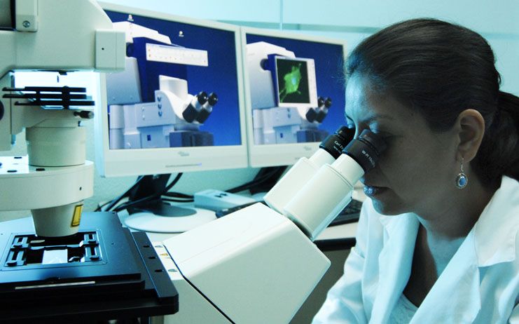 Los rectores ofrecen más de 200 laboratorios y 300 expertos para las pruebas de detección del Covd-19