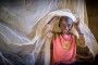 UNICEF Nigeria celebra la liberación de la custodia administrativa de más de 180 niños sospechosos de vínculos con Boko Haram