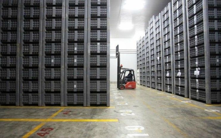 Castilla-La Mancha abre el año 2026 con una caída del 5,5% en sus exportaciones respecto a enero del año anterior