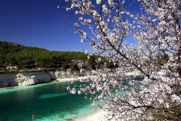 Meteored advierte de un temporal de un anticipo de primavera: temperaturas de hasta 27°C en algunas regiones de España