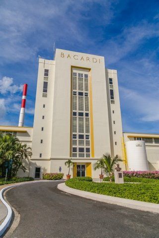 Bacardi dedica su destilería más grande a fabricar desinfectantes para manos por el coronavirus