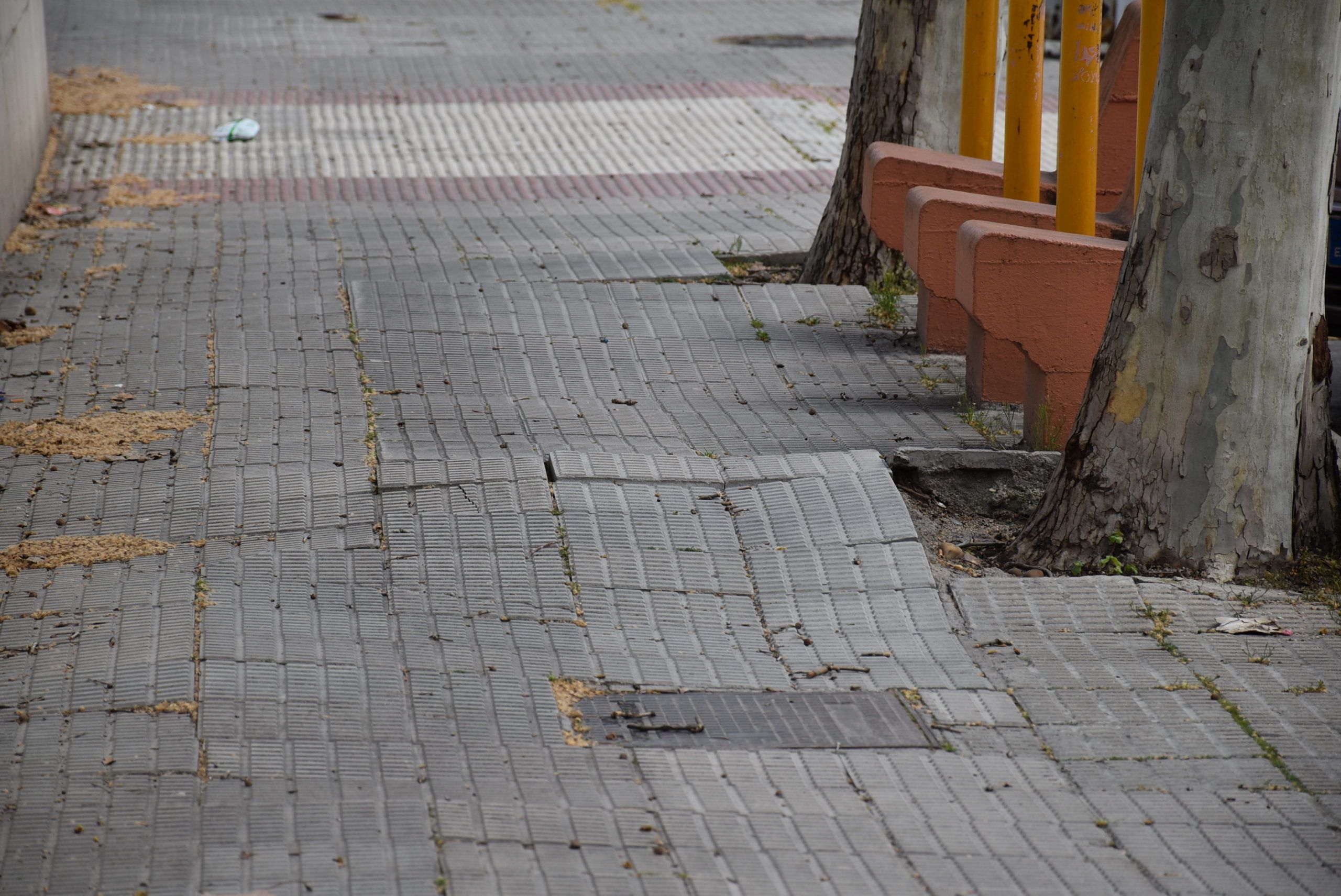 El Ayuntamiento adecenta y acondiciona varios tramos de acera en la zona de la Avenida Real Fábrica de Sedas