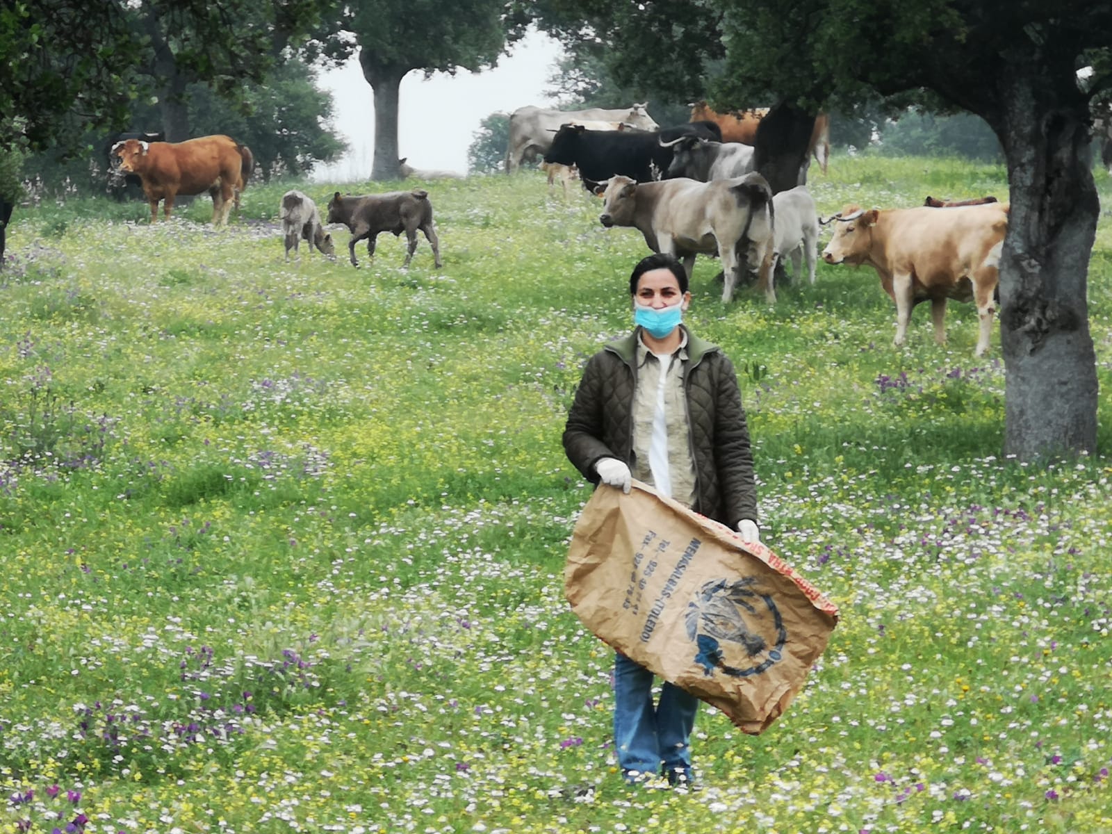 Castilla-La Mancha da garantías a agricultores y ganaderos y aprueba la prórroga de las ayudas agroambientales con más de 40 millones de euros