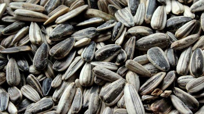 OCU advierte del incremento del consumo de snacks poco saludables durante el confinamiento y propone alternativas