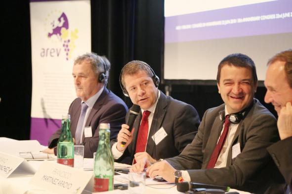 Castilla-La Mancha suscribe la propuesta de la AREV de solicitar a la Comisión Europea un presupuesto extraordinario para la recuperación urgente del mercado del vino