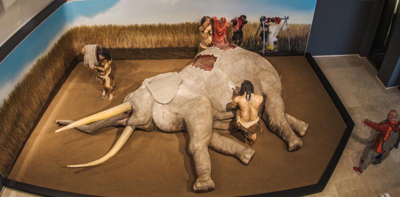 Los museos gestionados por la Junta reabren hoy sus puertas con acceso libre hasta final de año y reforzando las visitas no presenciales