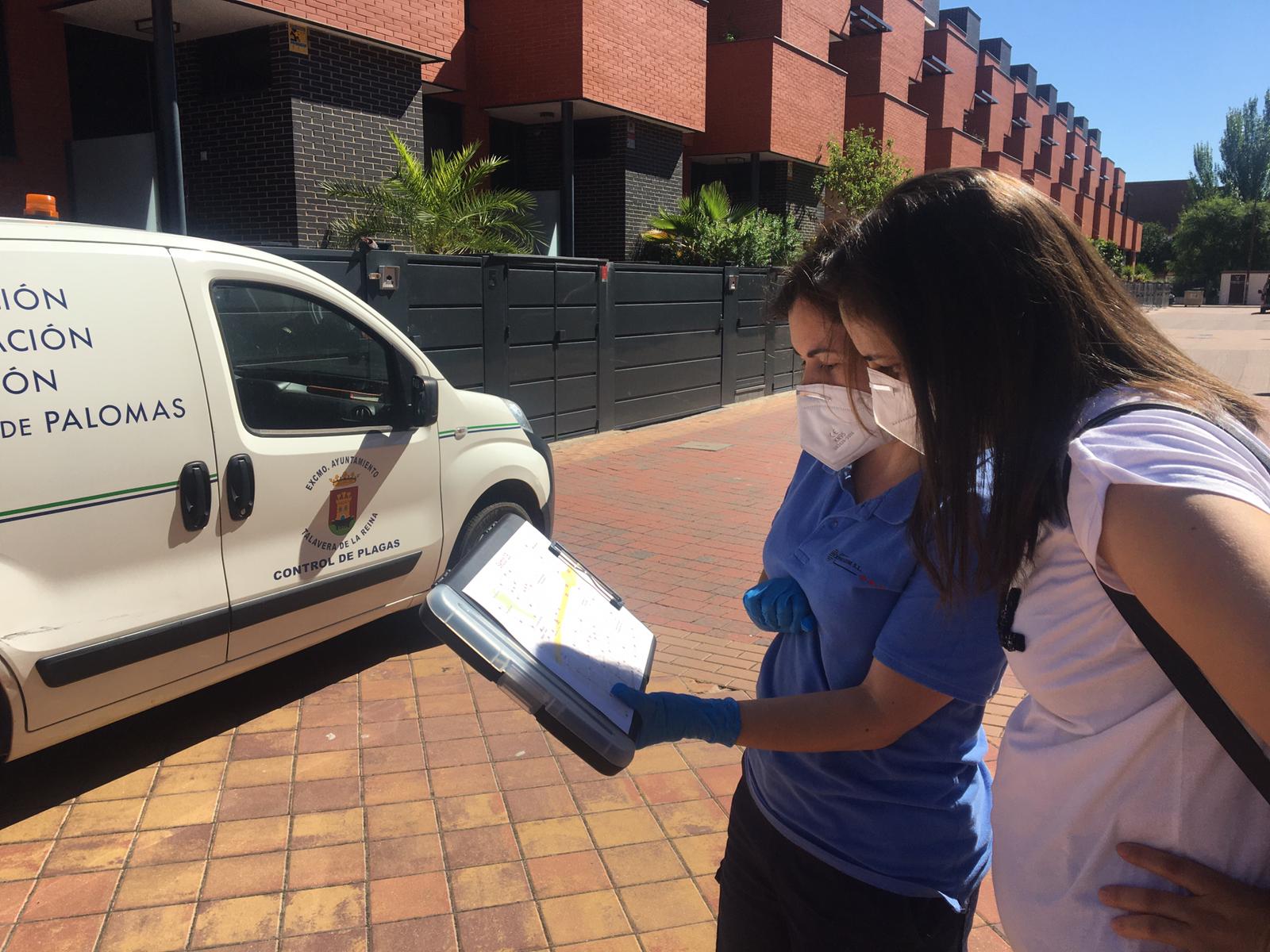 El Ayuntamiento atiende las demandas vecinales con el refuerzo de actuaciones en materia de desratización y desinsectación en distintos barrios de Talavera