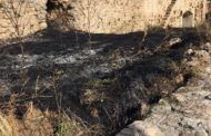 Quema controlada de maleza en el entorno de la ciudad medieval de Moya para contribuir a preservar su patrimonio