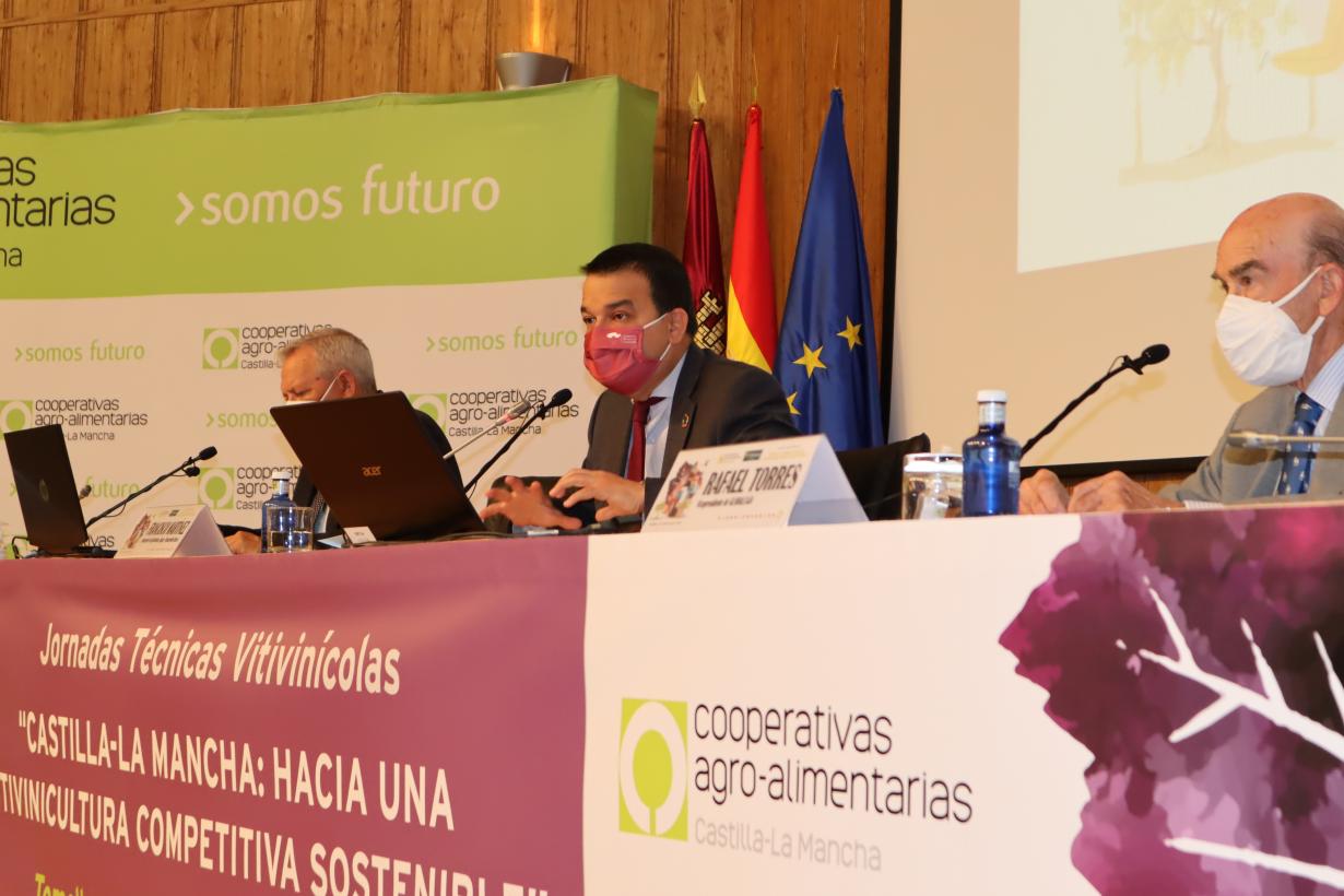 El Gobierno de Castilla-La Mancha pide “presumir y sacar la cabeza” para que la región lidere la gestión del sector vitivinícola a nivel nacional
