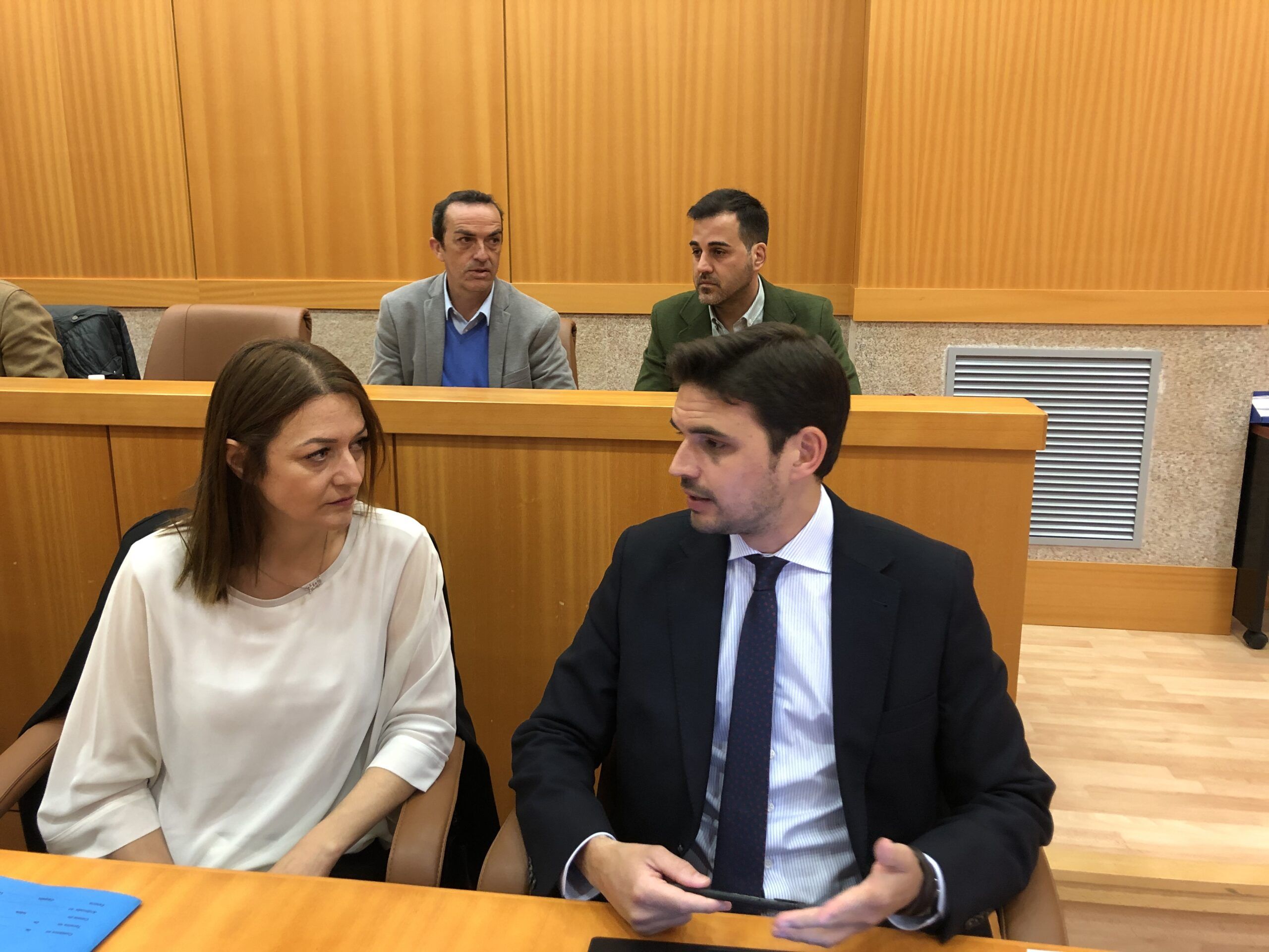 Serrano: El PSOE se niega a elaborar un plan de actuación para garantizar el desarrollo de grandes eventos