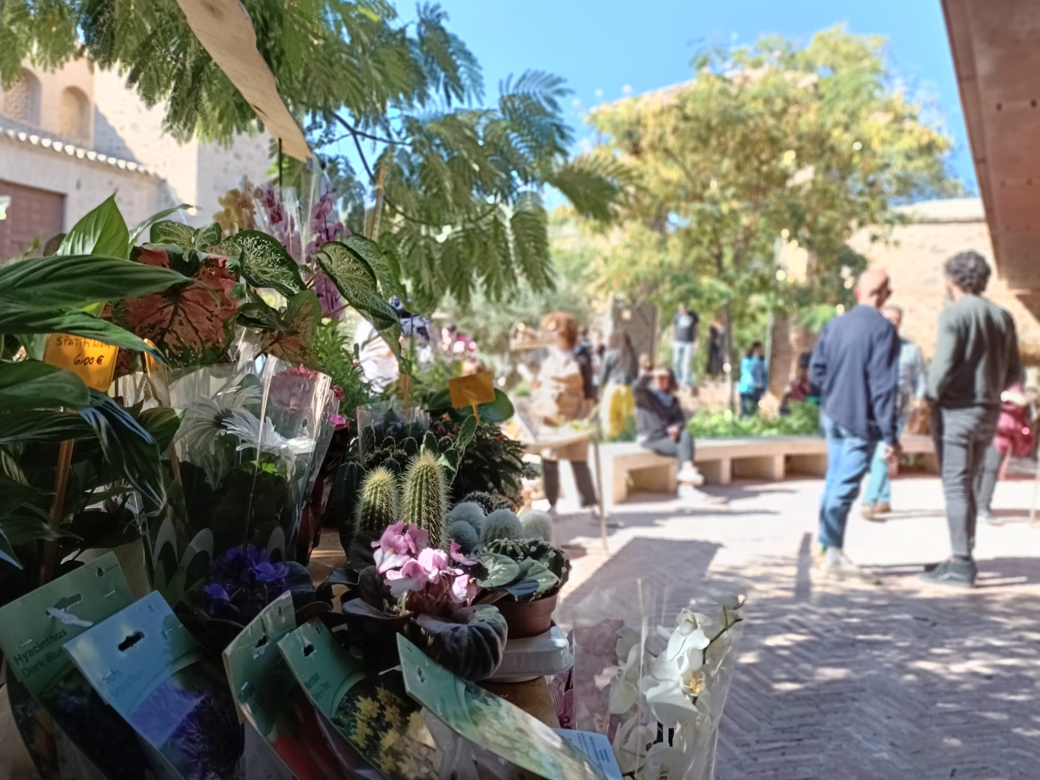 El Mercado de Flores de este sábado en el jardín de San Lucas enseñará a elaborar un herbario