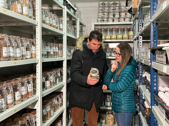 El Centro de Investigación Agroforestal de Albaladejito estudia cómo mejorar los ecorregímenes para transferir este conocimiento al sector y mejorar su rentabilidad