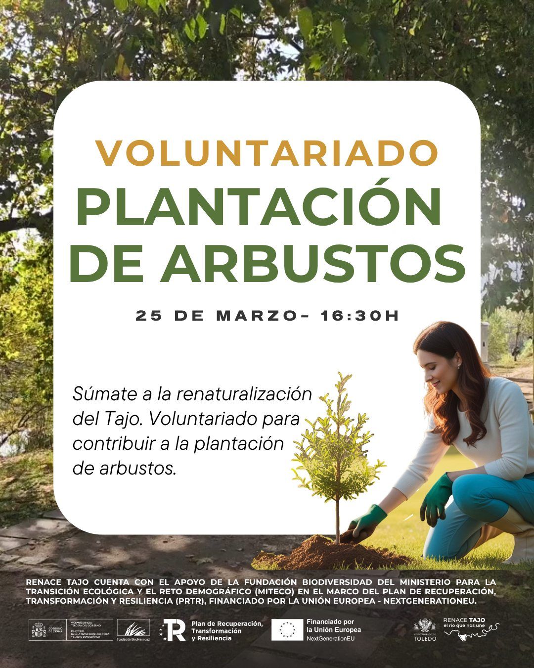 El proyecto 'Renace Tajo' convoca este miércoles 25 de marzo una nueva jornada de plantación de arbustos en las inmediaciones del Tajo